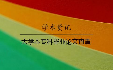 大学本专科毕业论文查重