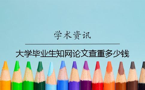大学毕业生知网论文查重多少钱